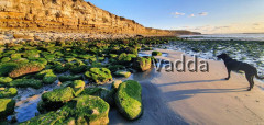 Normandie