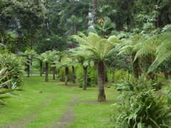 Villa Taranto Verbania Pallanza (5)