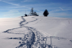 daheim