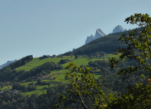 P1180693