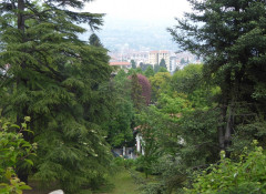Villa Taranto Verbania Pallanza (24)