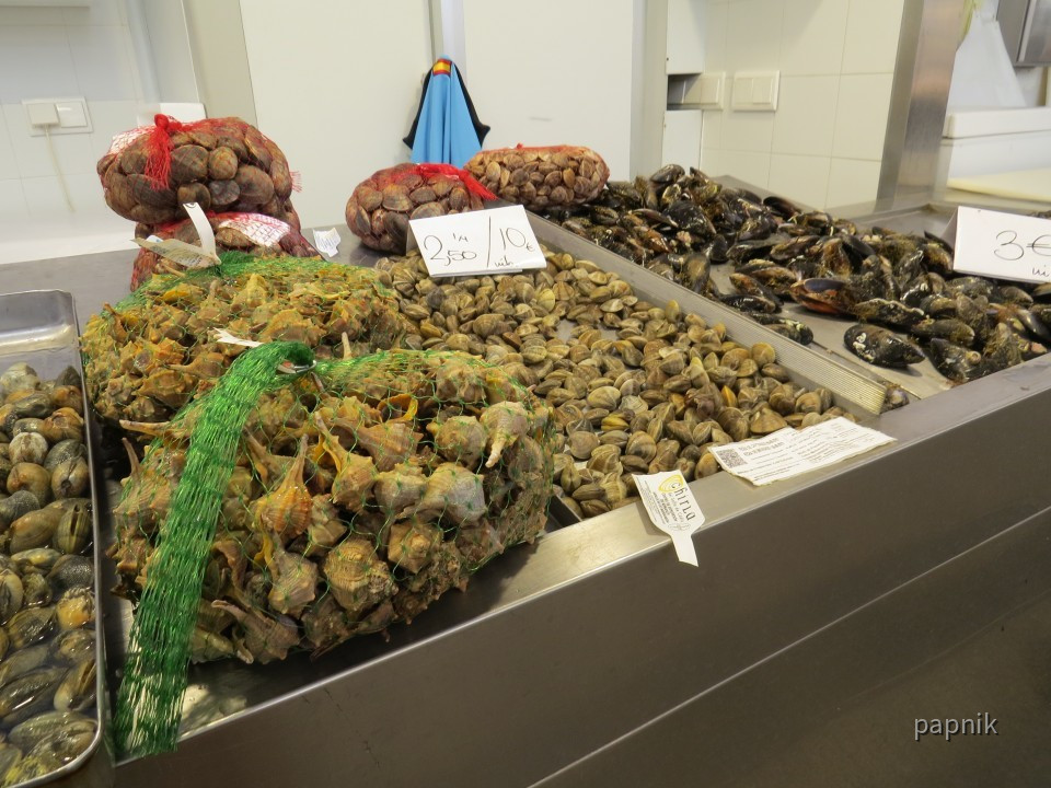 Muscheln Markthalle Cadiz