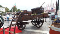 Herbstimpressionen Torri del Benaco, Garda und Bardolino (12)