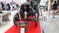 Herbstimpressionen Torri del Benaco, Garda und Bardolino (14)