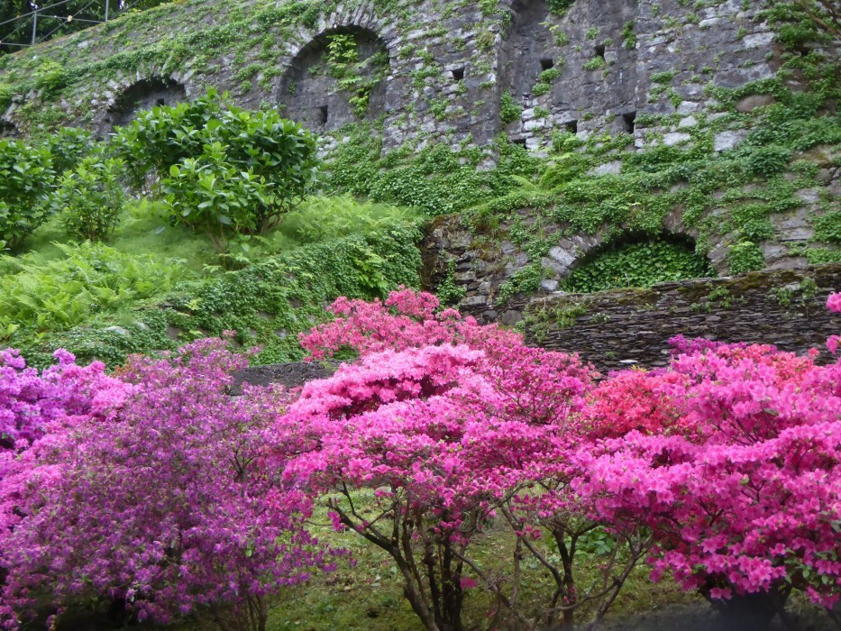 Villa Taranto Verbania Pallanza (28)