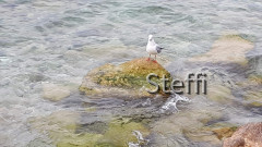 Herbstimpressionen Torri del Benaco, Garda und Bardolino (44)