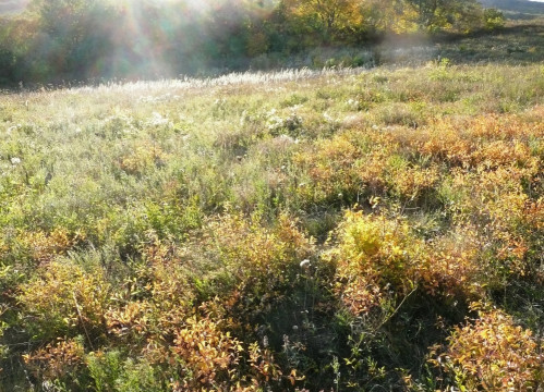 Echkogel 16.10.19-3