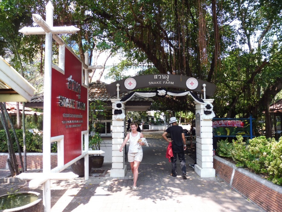 Bangkok Institut Pasteur