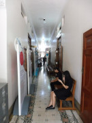 Bangkok Institut Pasteur