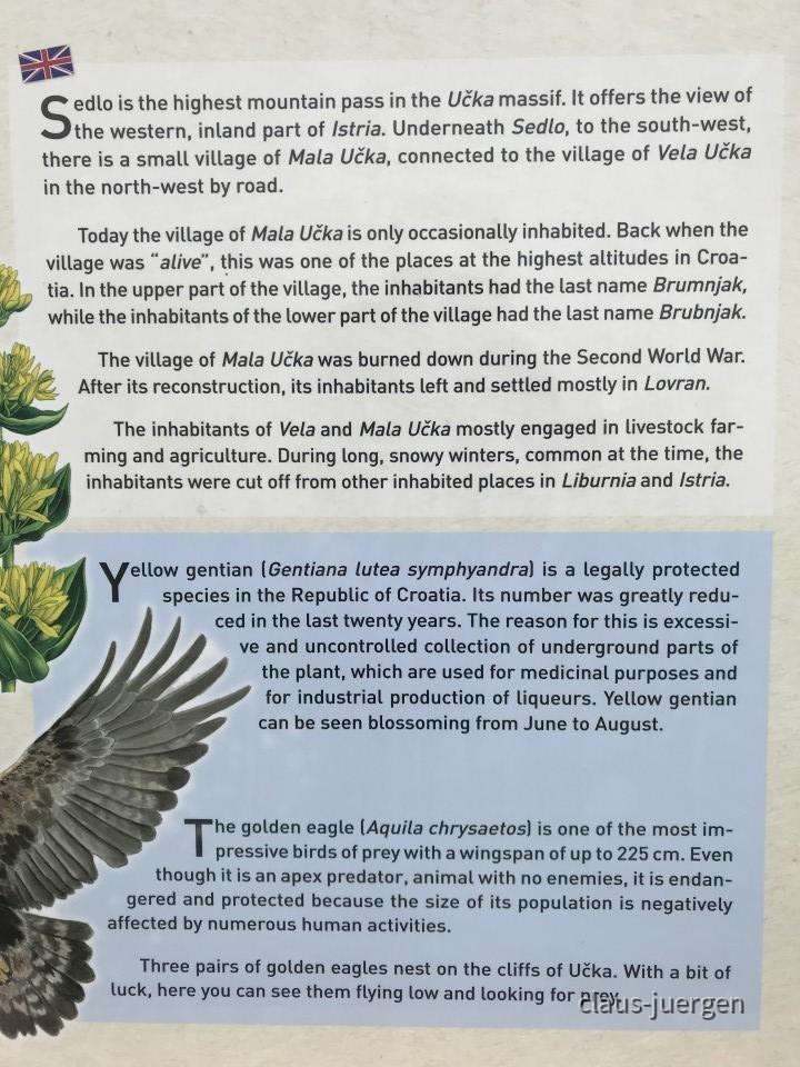 ?random=0&maxWidth=0&embedded=0&thumbnail=large