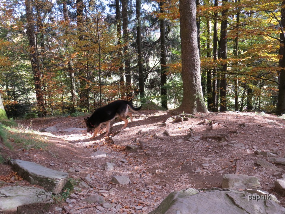 Begegnung