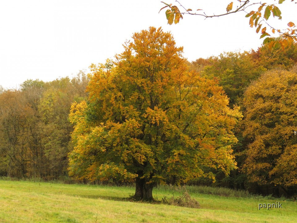 Farben