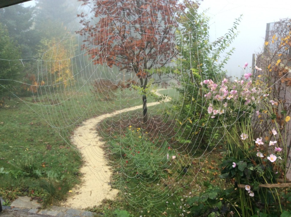 Mein Garten im Herbst
