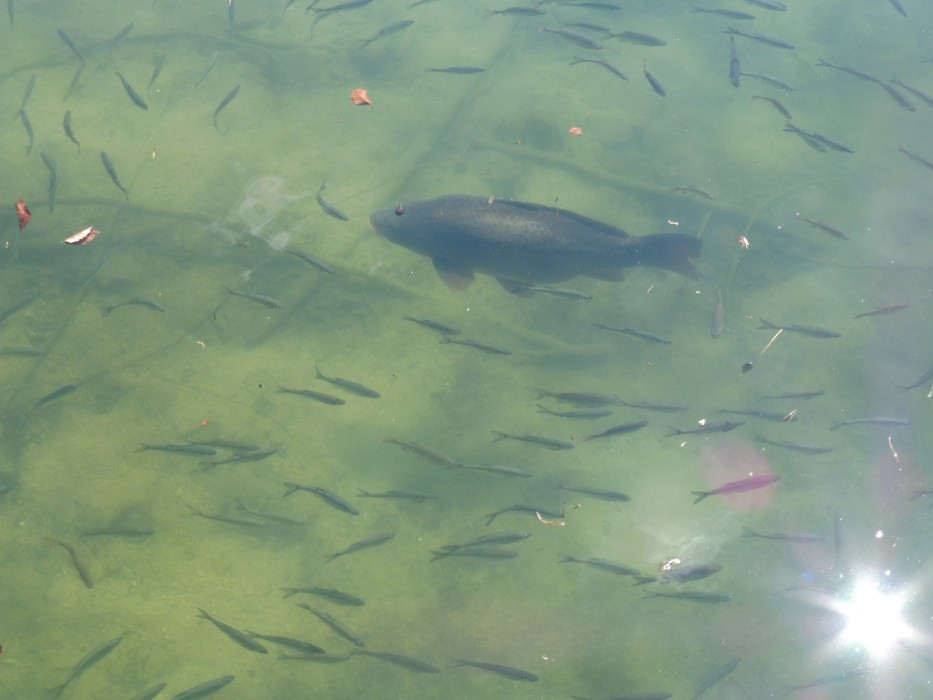  Kufstein Hechtsee