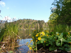  Kufstein Hechtsee