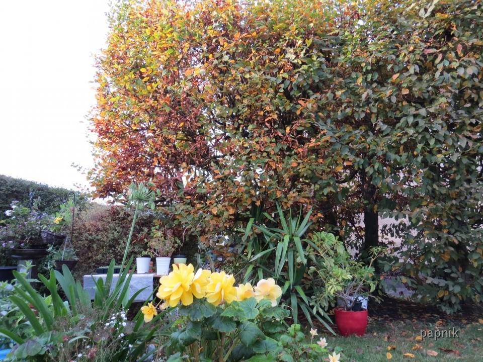 Es ist Herbst