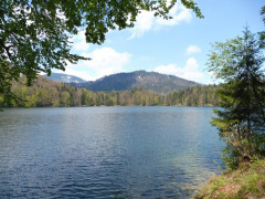  Kufstein Hechtsee