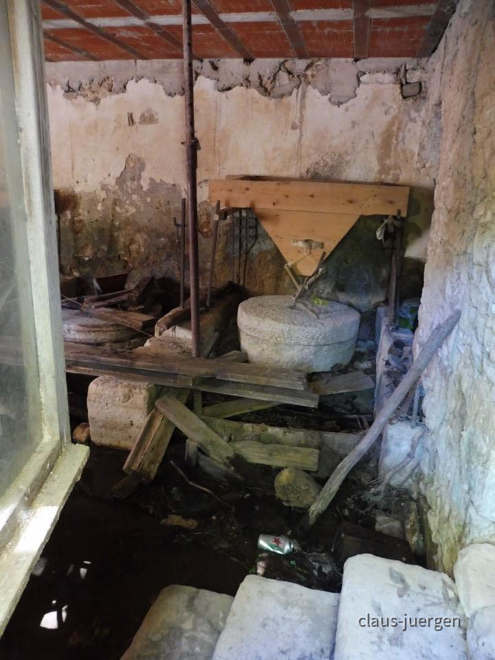 ?random=0&maxWidth=0&embedded=0&thumbnail=large