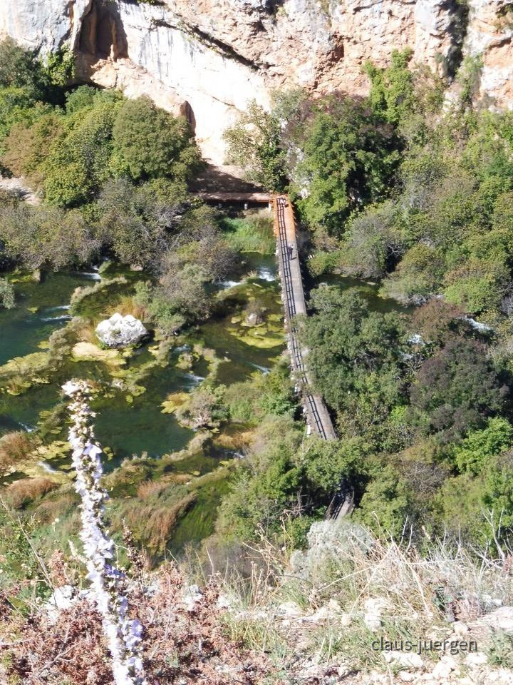 ?random=0&maxWidth=0&embedded=0&thumbnail=large