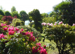 Lago Maggiore Cannero Donego (3)