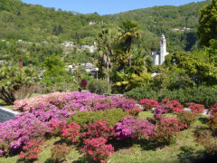 Lago Maggiore Cannero Donego (2)