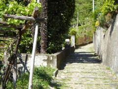 Lago Maggiore Cannero Donego (7)
