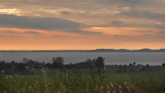 Ende Kranichsaison Jamunder Bodden