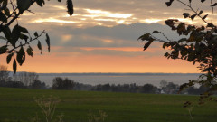 Ende Kranichsaison Jamunder Bodden