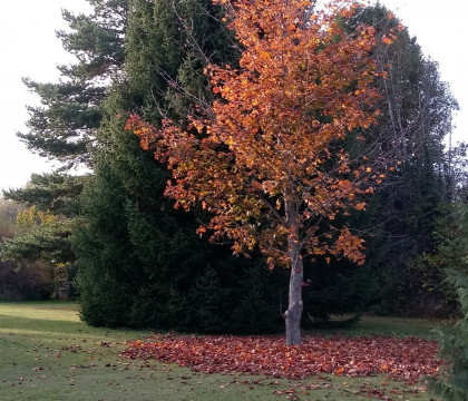 20191101_145929(3)