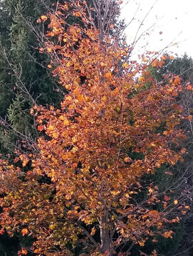 20191101_145933