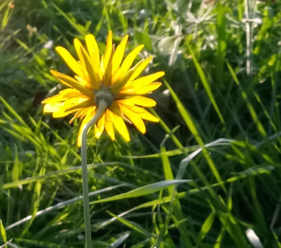 20191101_151338(1)