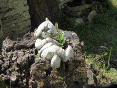 Lago Maggiore Cannero Donego (16)