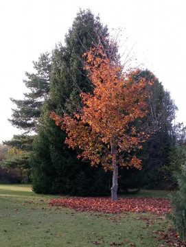 20191101_145929