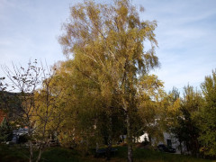 20191101_150803