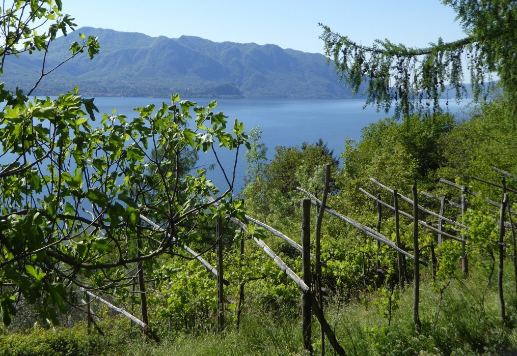 Lago Maggiore Cannero Donego (22)
