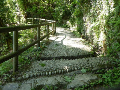 Lago Maggiore Cannero Donego (27)