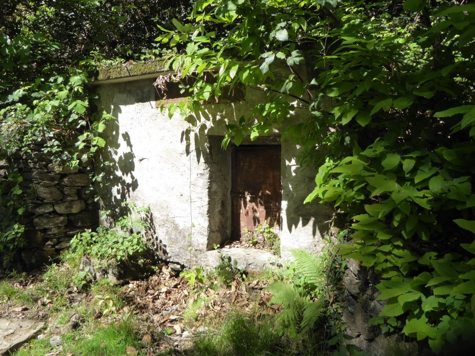 Lago Maggiore Cannero Donego (29)