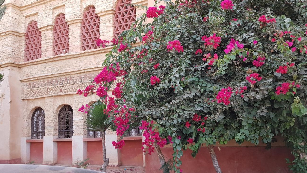 Agadir_25