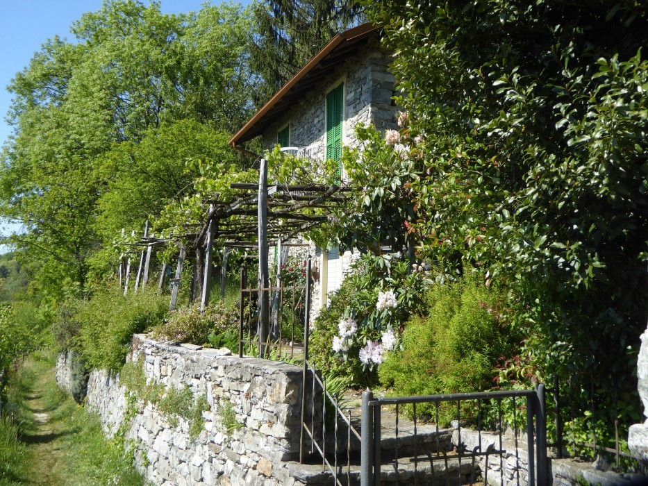 Lago Maggiore Cannero Donego (21)