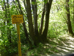 Lago Maggiore Cannero Donego (30)