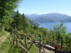 Lago Maggiore Cannero Donego (31)