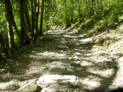Lago Maggiore Cannero Donego (26)