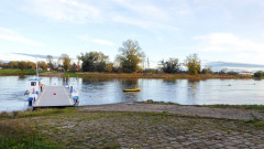 Gierfähre bei Coswig