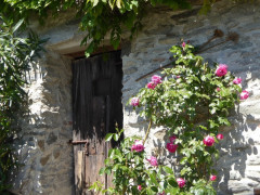 Lago Maggiore Cannero Donego (40)