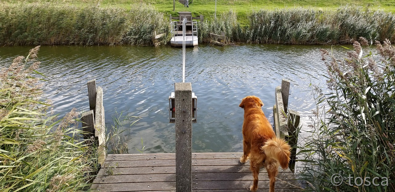 Handfähre über Kanal Insel Texel - Niederlande