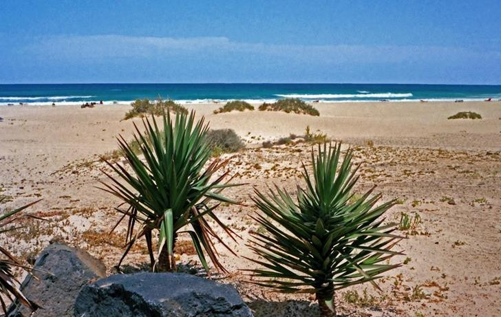 Fuerteventura