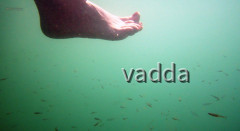 Unacamp > Bosanska Krupa (BiH)