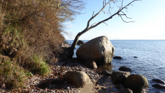 Möchgut Nonnenloch  (1)