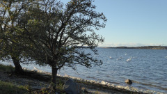Mönchgut  Gager (1)