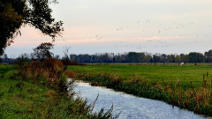 Linum abends (9)